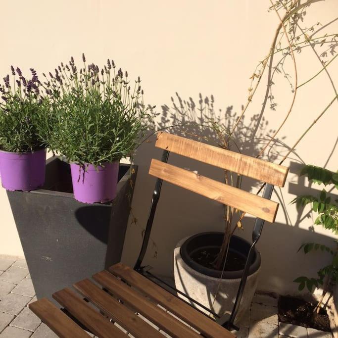 Le Clos De Beauchamp Appartement Le Bord De Mer 2 Velos Sont Disponibles Gratuitement Saint-Valery-sur-Somme Extérieur photo
